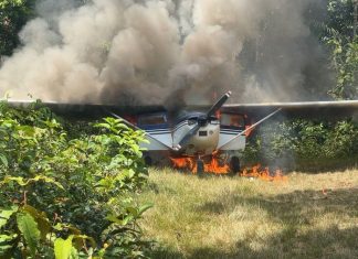 Operação atinge 8.223 ações e causa R$ 560 milhões em prejuízo ao garimpo na Terra Yanomami garimpo