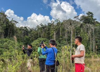 Plano de recuperação ambiental da Terra Yanomami avança em áreas afetadas pelo garimpo