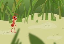 Animação produzida em Roraima entra na programação de festival ambiental de alcance nacional em SP