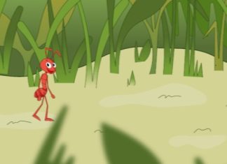 Animação produzida em Roraima entra na programação de festival ambiental de alcance nacional em SP