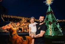 Decoração natalina transforma Boa Vista e movimenta fim de ano das famílias