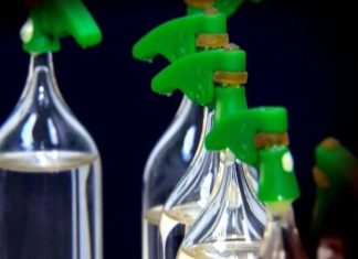 Projeto de Duda Ramos combate o uso de lança-perfume e ‘Loló’