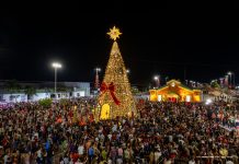 Moradores acompanham acendimento de árvores de Natal de 30 metros em Boa Vista