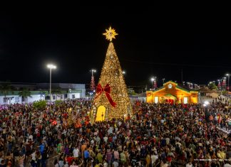 Moradores acompanham acendimento de árvores de Natal de 30 metros em Boa Vista