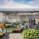 Agricultores de Boa Vista já podem se inscrever no PAA – Programa de Aquisição de Alimentos
