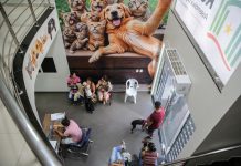 Iniciativa da Assembleia Legislativa supera 10 mil atendimentos e fortalece proteção animal