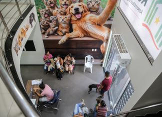 Iniciativa da Assembleia Legislativa supera 10 mil atendimentos e fortalece proteção animal