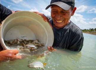 Truaru da Cabeceira recebe alevinos para fortalecer a piscicultura local