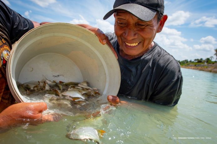 Projeto Moro-Morí na comunidade Truaru da Cabeceira - Ft FERNANDO TEIXEIRA1