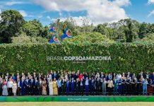 COP entrega pouco, mantém ameaça de colapso climático e colhe críticas globais