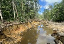 Operação Aracaçá interdita pista clandestina e detém quatro suspeitos de garimpo na Terra Yanomami