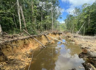 Operação Aracaçá interdita pista clandestina e detém quatro suspeitos de garimpo na Terra Yanomami