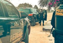 Operação contra comércio ilegal de armas e ouro mira joalheria em Roraima