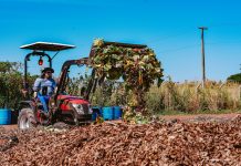 Boa Vista aposta no verde e colhe resultados: mais de 456 toneladas de resíduos reciclados em 2025