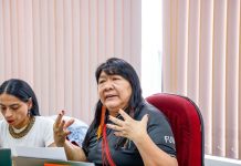 Funai discute criação de protocolo inédito para enfrentar a violência contra mulheres indígenas