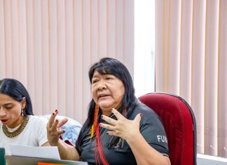 Funai discute criação de protocolo inédito para enfrentar a violência contra mulheres indígenas