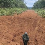 Forças Armadas destroem pistas clandestinas usadas pelo garimpo ilegal na Terra Yanomami, em Roraima