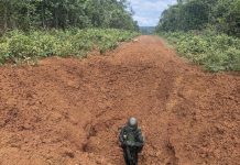 Forças Armadas destroem pistas clandestinas usadas pelo garimpo ilegal na Terra Yanomami, em Roraima