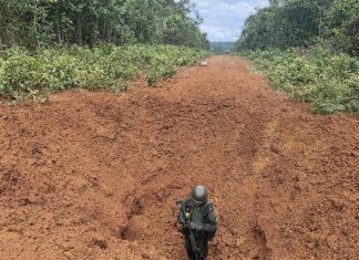 Forças Armadas destroem pistas clandestinas usadas pelo garimpo ilegal na Terra Yanomami, em Roraima