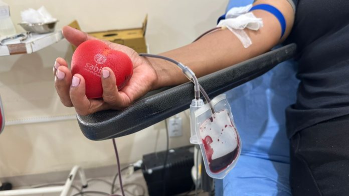 Doação de Sangue no fim de ano_Ascom Sesau (2)