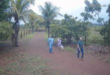 Falsos policiais são detidos durante tentativa de roubo de 36 animais em Iracema