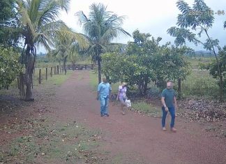 Falsos policiais são detidos durante tentativa de roubo de 36 animais em Iracema