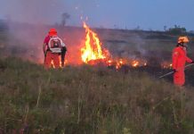 Bases de combate às queimadas são implantadas em cidades do interior de Roraima
