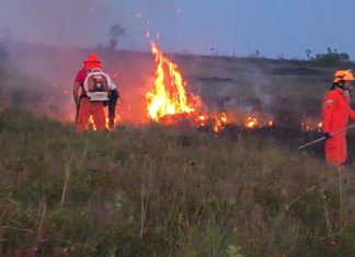 Bases de combate às queimadas são implantadas em cidades do interior de Roraima