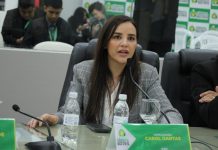 Câmara de Boa Vista aprova projeto que autoriza uso de drones no combate à dengue