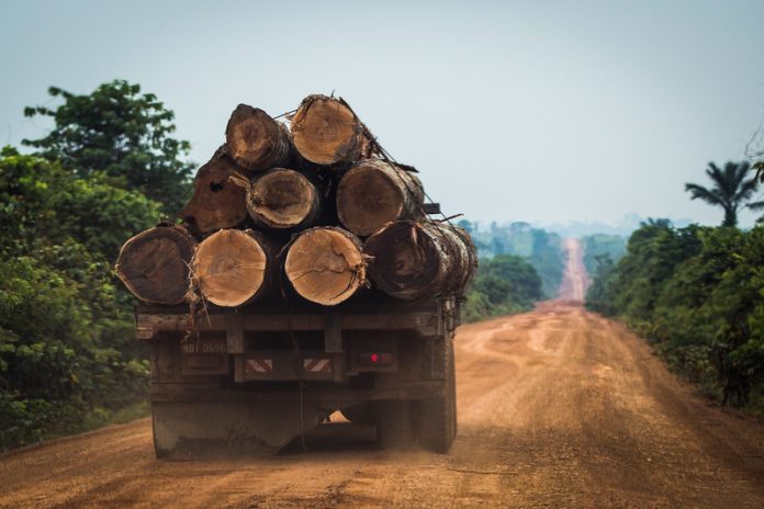 Truck With Timber in Amazonas StateCaminhão carregando madeira no Amazonas