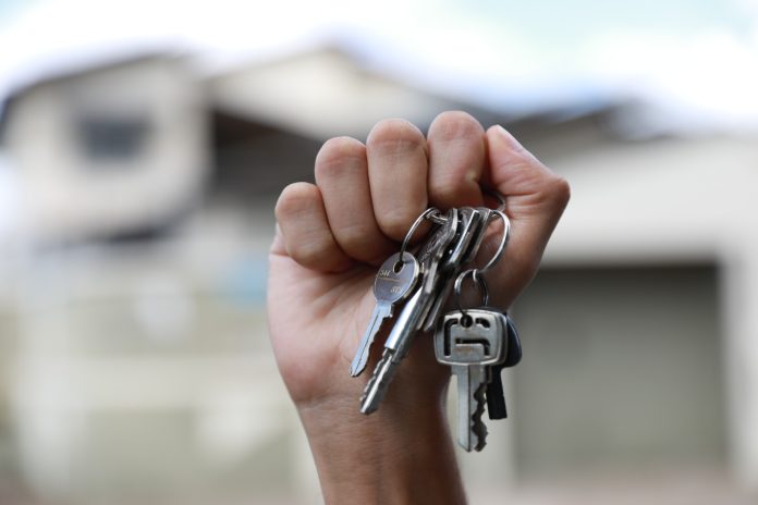 direitos humanos (2)