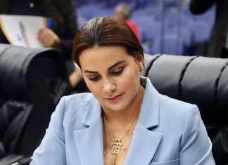 Deputada propõe programa de enfrentamento à violência doméstica contra a mulher na primeira infância em Roraima