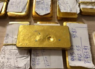 Mais de 249 kg de ouro são apreendidos em operações contra garimpo ilegal em Roraima desde 2024 ouro