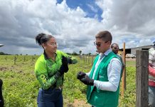 Prazo para credenciamento de instrutores do Senar Roraima termina na segunda-feira (2) senar roraima