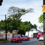 Nova lei impede anúncios em postes, placas de trânsito, semáforos e árvores em Boa Vista publicidade poste