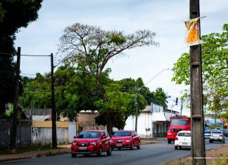 Nova lei impede anúncios em postes, placas de trânsito, semáforos e árvores em Boa Vista publicidade poste