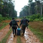 Censipam aponta redução de 98,77% do garimpo na TI Yanomami entre 2024 e 2026