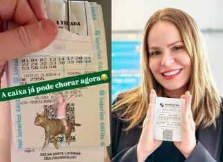 Paulinha Leite acerta quina na Mega da Virada paulinha leite