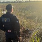 Motocicleta abandonada com restrição de roubo é recuperada em Boa Vista giro moto