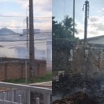 Após incêndio, ONG em Boa Vista inicia campanha para recuperar rede elétrica de abrigo animal arca incêndio