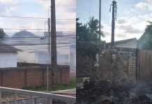 Após incêndio, ONG em Boa Vista inicia campanha para recuperar rede elétrica de abrigo animal arca incêndio