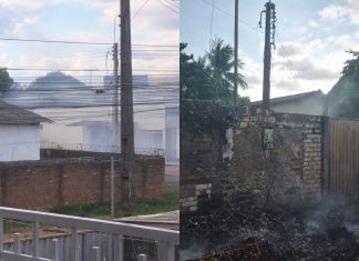 Após incêndio, ONG em Boa Vista inicia campanha para recuperar rede elétrica de abrigo animal arca incêndio