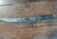 Homem embosca ex-companheira, usa facão e tenta levá-la à força para área de mata em Pacaraima