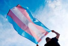Relatório da ANTRA aponta violência contra indígenas trans e travestis no Brasil antra trans