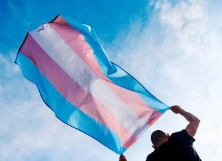 Relatório da ANTRA aponta violência contra indígenas trans e travestis no Brasil antra trans