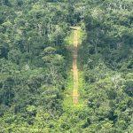 Mais uma pista de pouso clandestina é destruída na terra Yanomami em Roraima