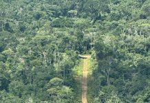 Mais uma pista de pouso clandestina é destruída na terra Yanomami em Roraima