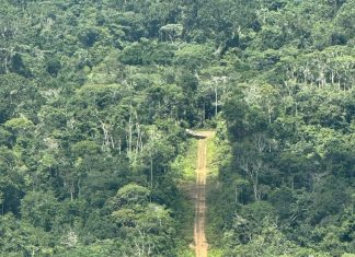 Mais uma pista de pouso clandestina é destruída na terra Yanomami em Roraima