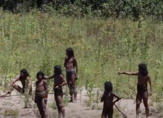 Registro inédito flagra maior povo isolado do mundo em rara aproximação na Amazônia