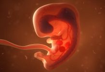 STF vai decidir se aborto legal é exclusivo de médicos ou pode ser feito por enfermeiros Aborto